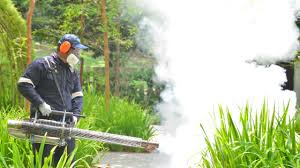 Best Fumigation Services  in St Elmo, IL